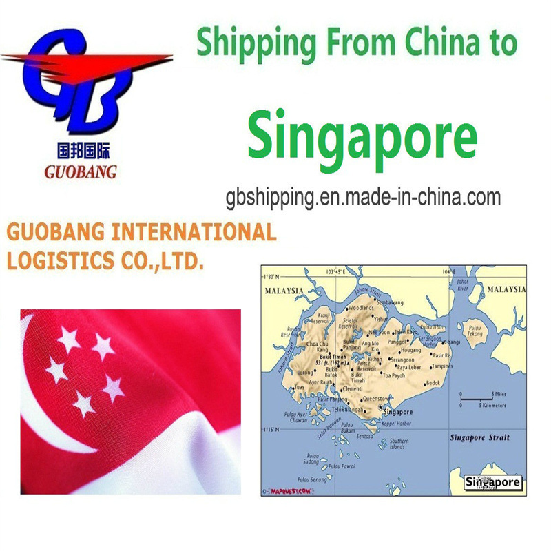 Грузовые перевозки от поставщиков в порт/склад Авиаперевозки из Сингапура в Сингапур Международная авиационная служба