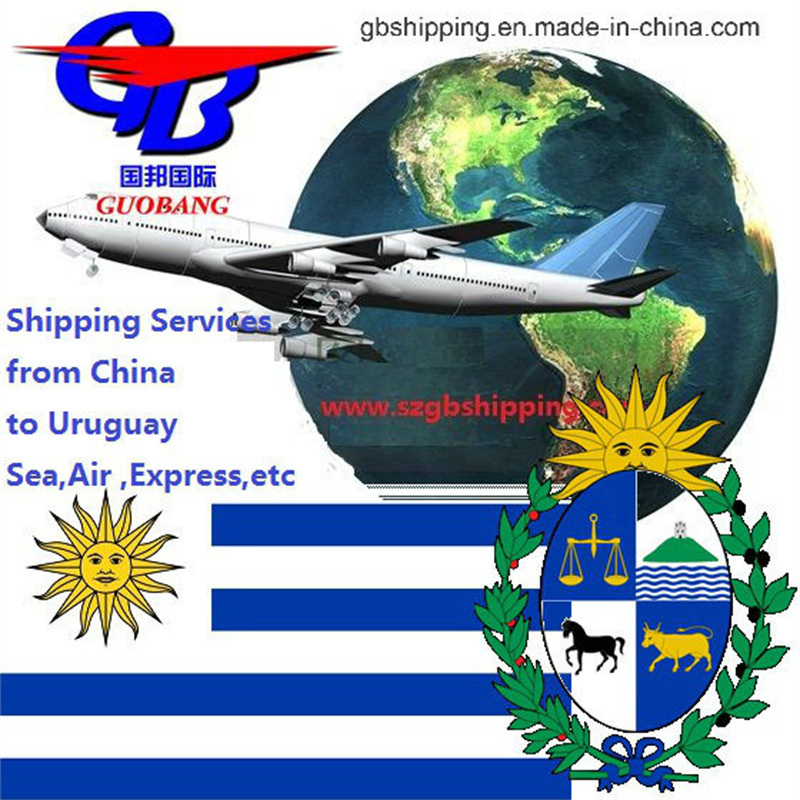 Удобная и профессиональная услуга авиаперевозок из в Уругвай. Бронирование в одном месте, забор груза, таможенное оформление.