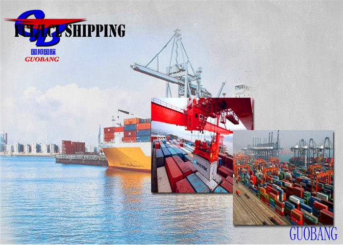 Гибкая и профессиональная перевозка типа LCL на Фиджи из Shenzhen Freight Services