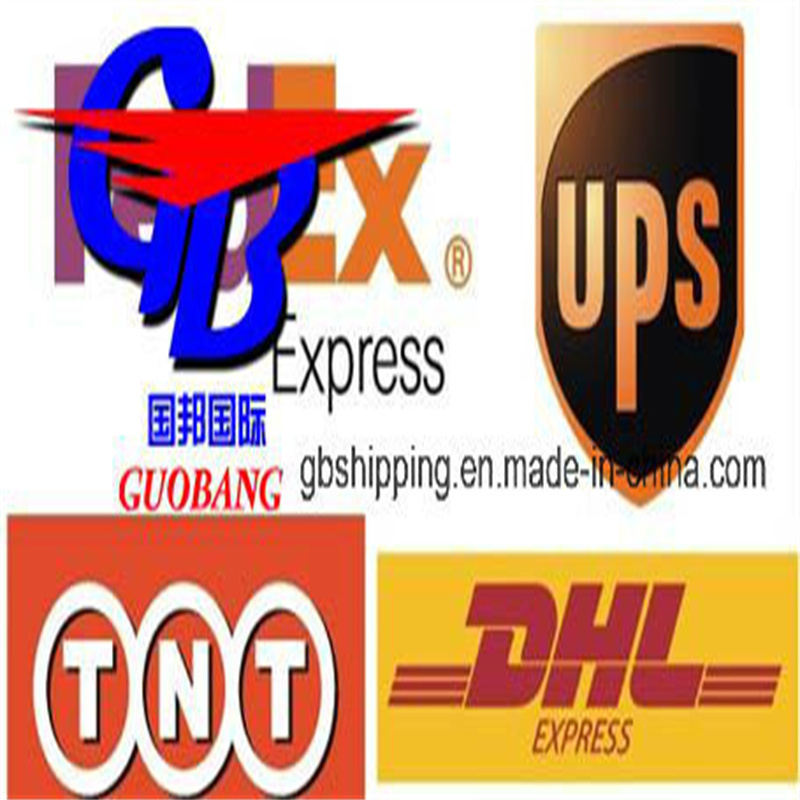 Гуобанг Гуобанг International Logistics Co. Морская перевозка хорошо работает с Мск UPS Перевозка из Франции