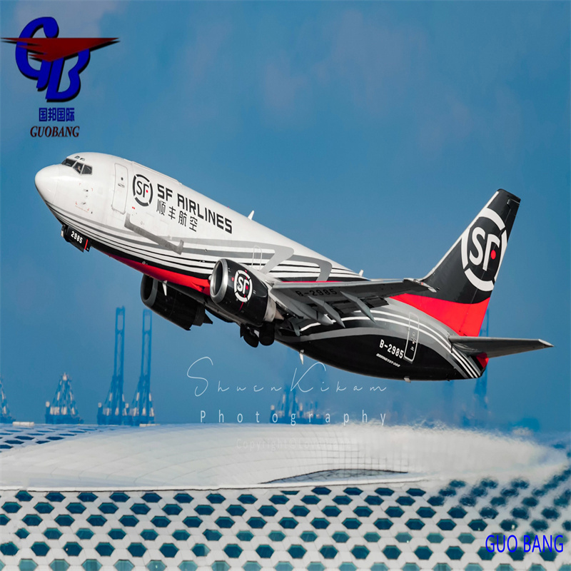 Ведущая судоходная компания Guobang Express Delivery из Германии с CIQ/CO/FORM A/SOSA/CCPIT VERIFIED